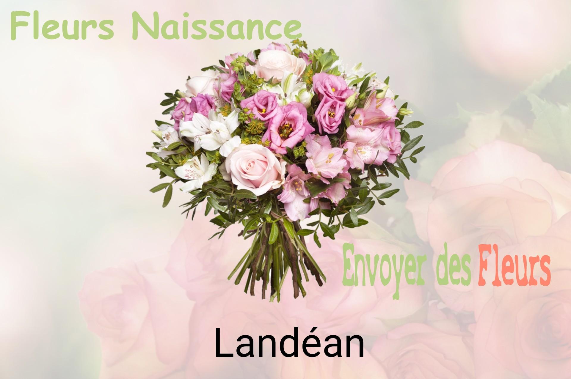 Bouquet de fleurs de naissance livré à Landéan